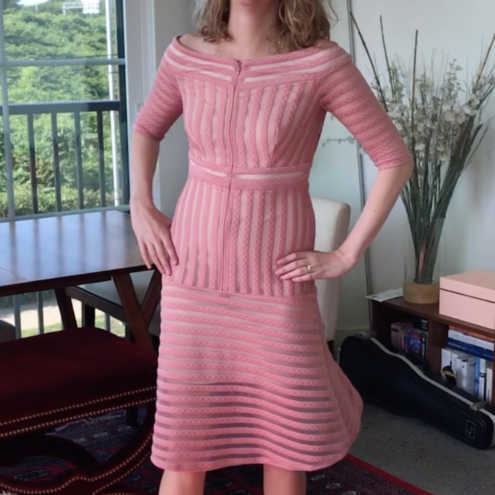 Pink Off Shoulder Jax Dress (Size 2)